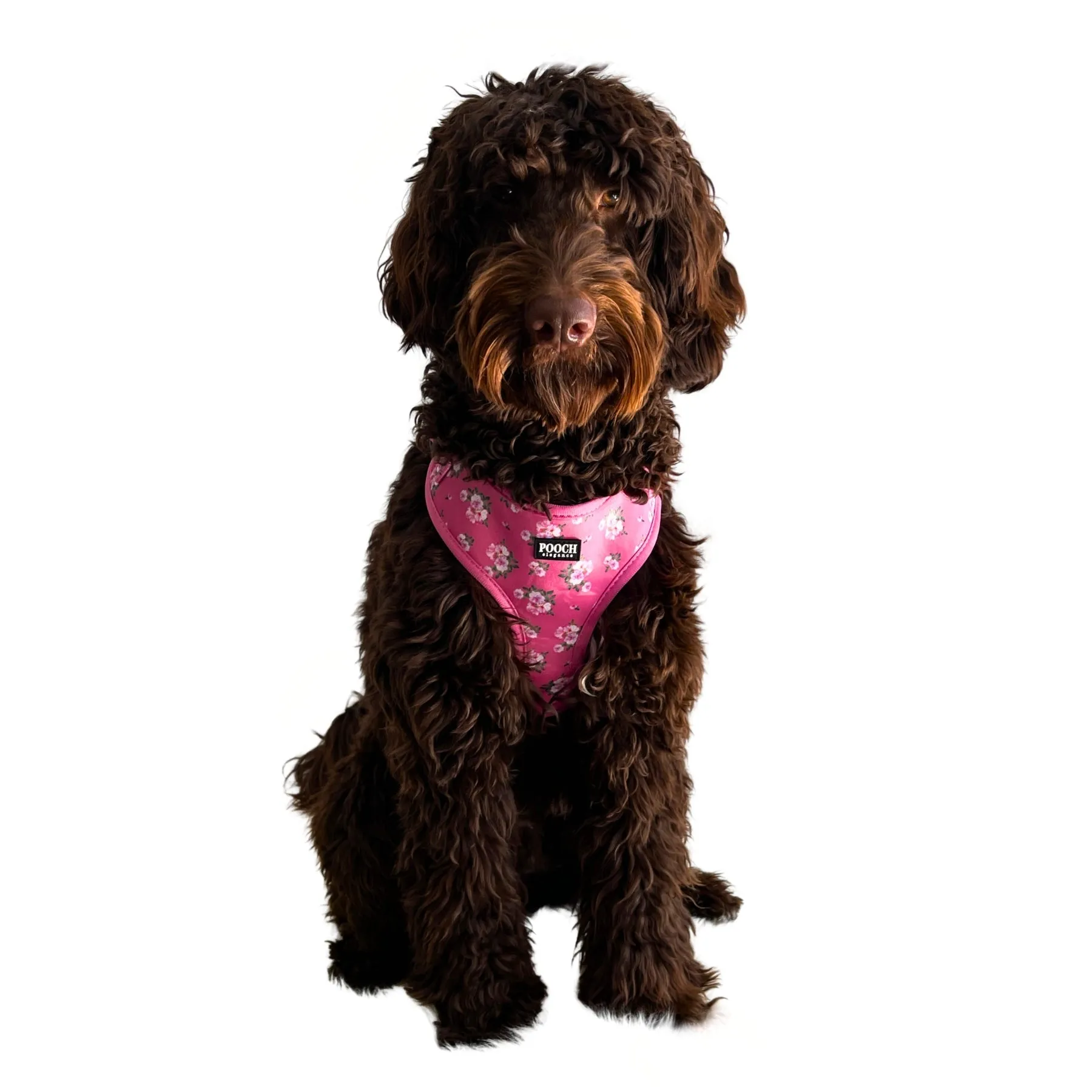 Adjustable Dog Harness - Bouquet of Roses - FINAL SALE - NO RETURNS