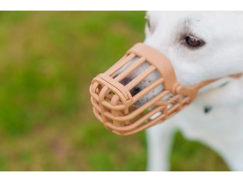 Baskerville Classic Basket Muzzle Size 3