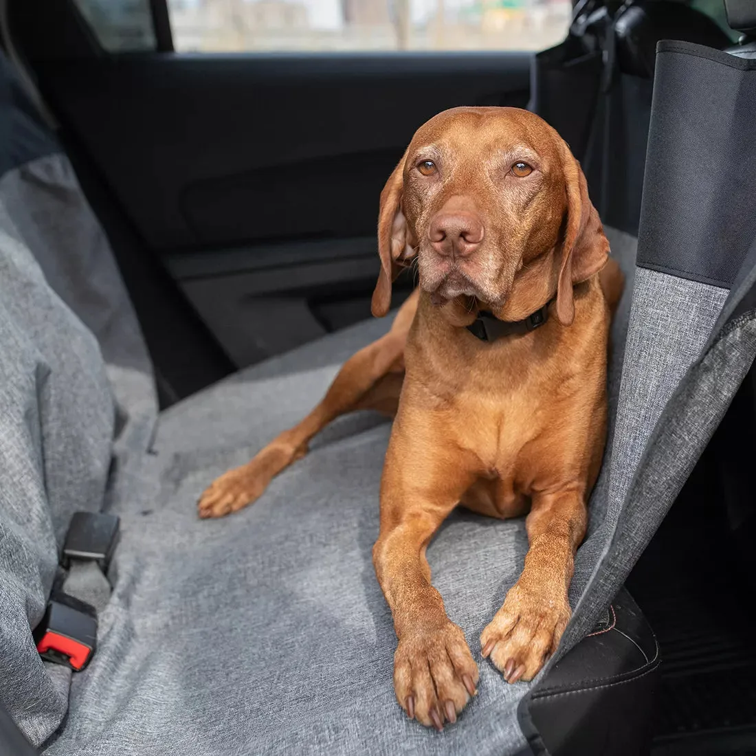 Bergan Auto Hammock Seat Protector
