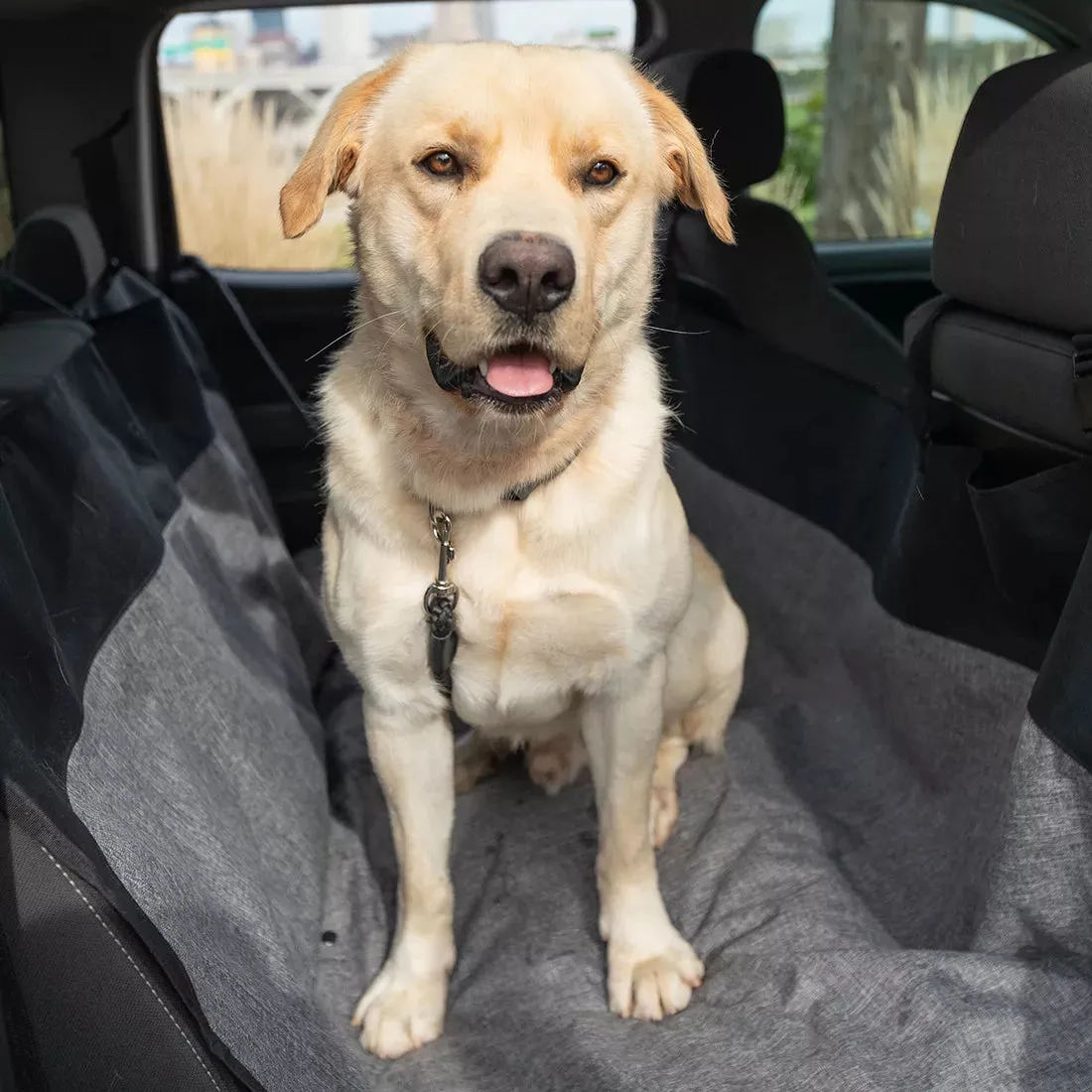 Bergan Auto Hammock Seat Protector