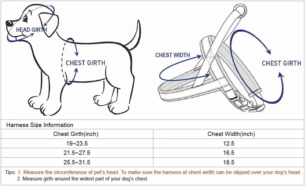 Blueberry Pet 6 Colors Soft & Comfy Jacquard Padded Dog Harness, Chest Girth 25.5" - 31.5", Teal Blue, M/L, Reflective Adjustable Harnesses for Dogs