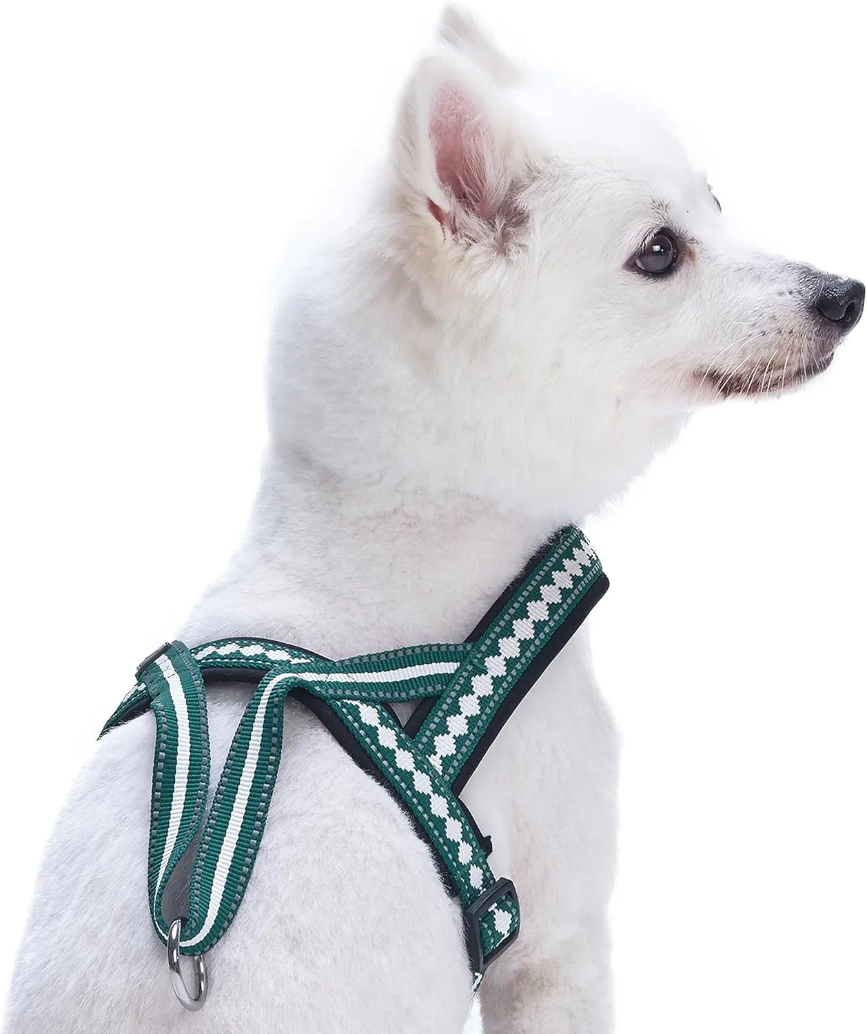 Blueberry Pet 6 Colors Soft & Comfy Jacquard Padded Dog Harness, Chest Girth 25.5" - 31.5", Teal Blue, M/L, Reflective Adjustable Harnesses for Dogs