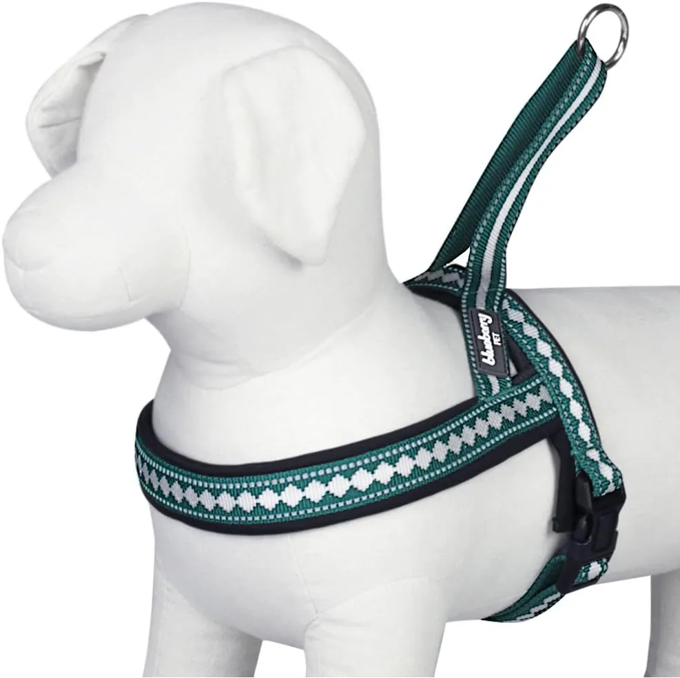 Blueberry Pet 6 Colors Soft & Comfy Jacquard Padded Dog Harness, Chest Girth 25.5" - 31.5", Teal Blue, M/L, Reflective Adjustable Harnesses for Dogs