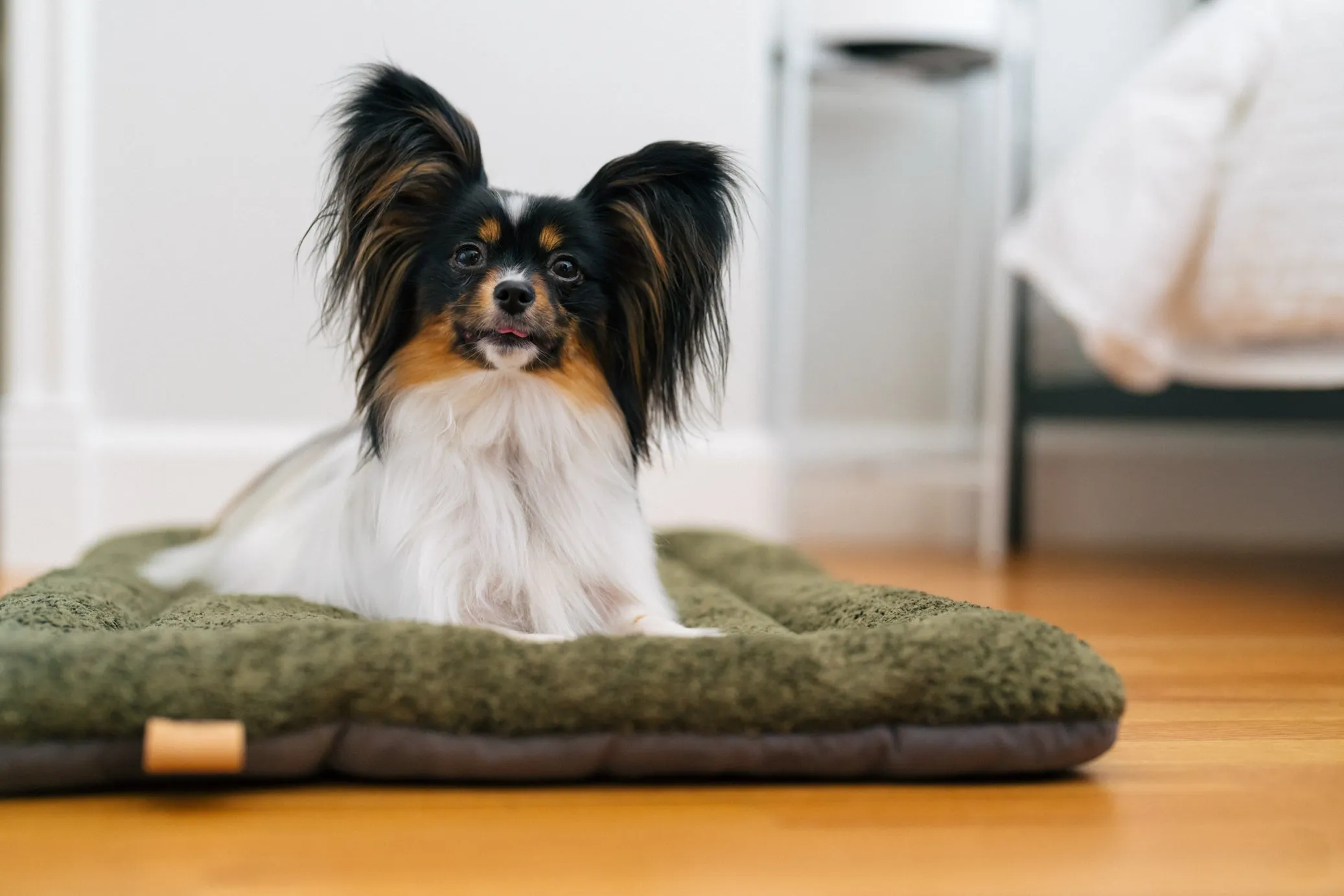 Canyon Series Chill Pad