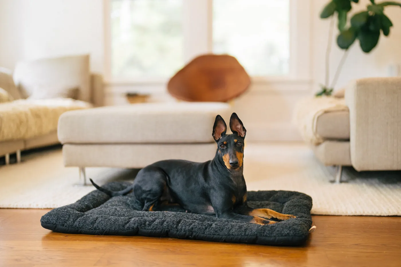 Canyon Series Chill Pad