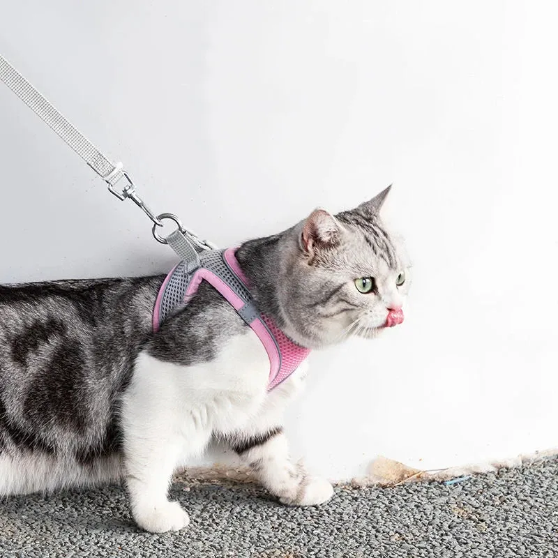 Cat & Dog Adjustable Harness Leash Set - Vest Style Collar - Pet Walking Lead