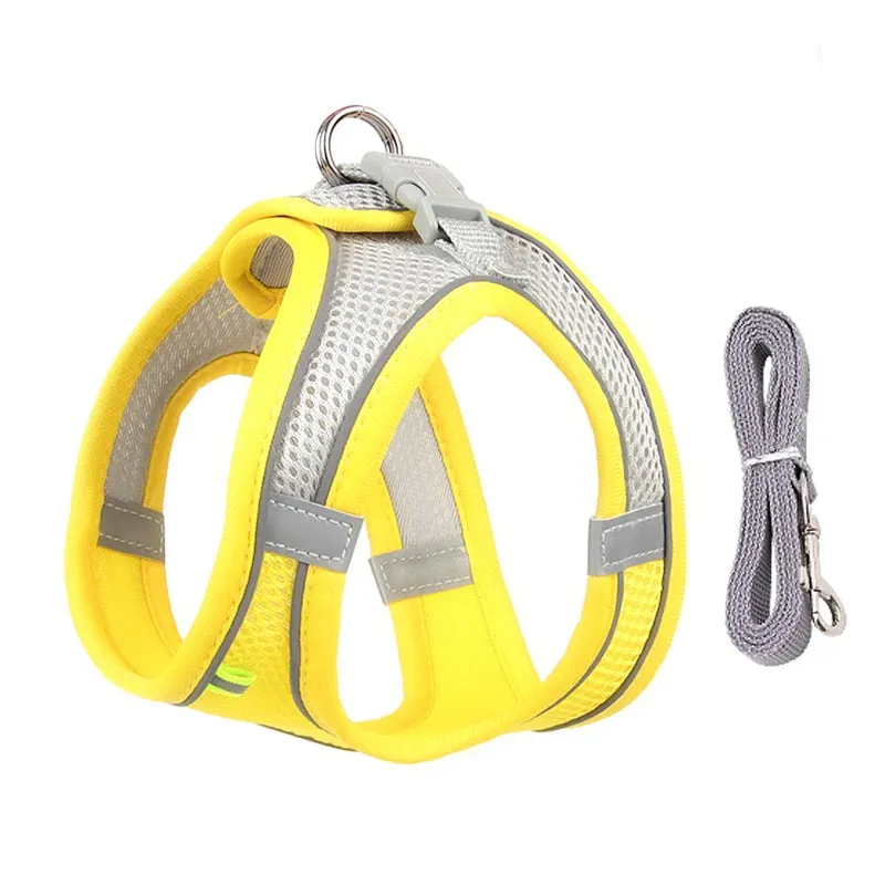 Cat & Dog Adjustable Harness Leash Set - Vest Style Collar - Pet Walking Lead
