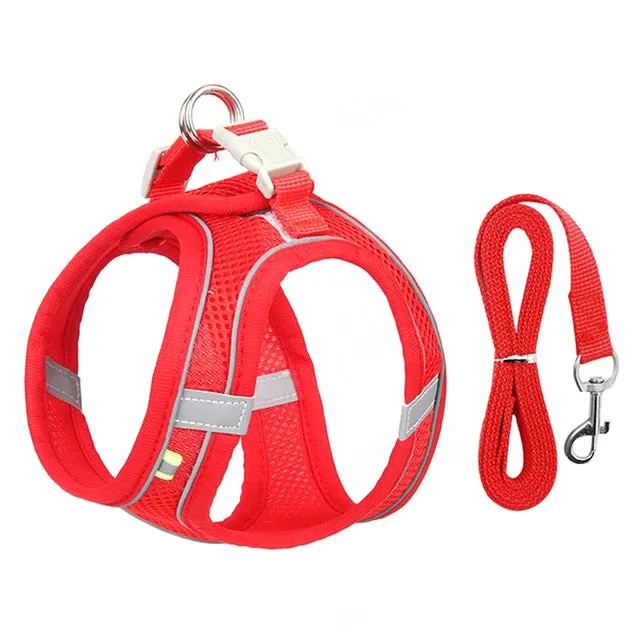 Cat & Dog Adjustable Harness Leash Set - Vest Style Collar - Pet Walking Lead
