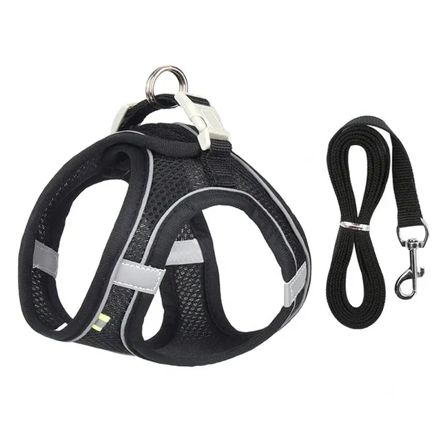 Cat & Dog Adjustable Harness Leash Set - Vest Style Collar - Pet Walking Lead