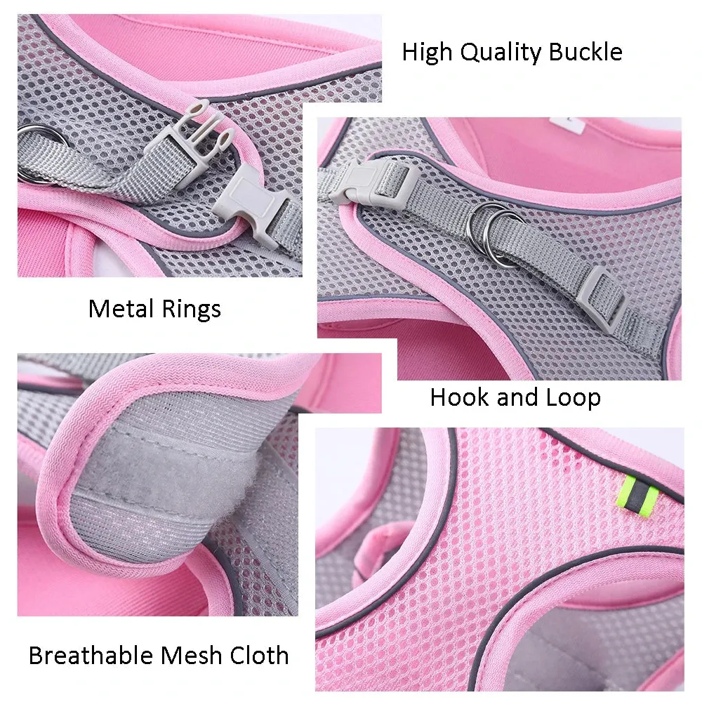 Cat & Dog Adjustable Harness Leash Set - Vest Style Collar - Pet Walking Lead