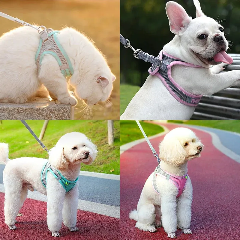 Cat & Dog Adjustable Harness Leash Set - Vest Style Collar - Pet Walking Lead