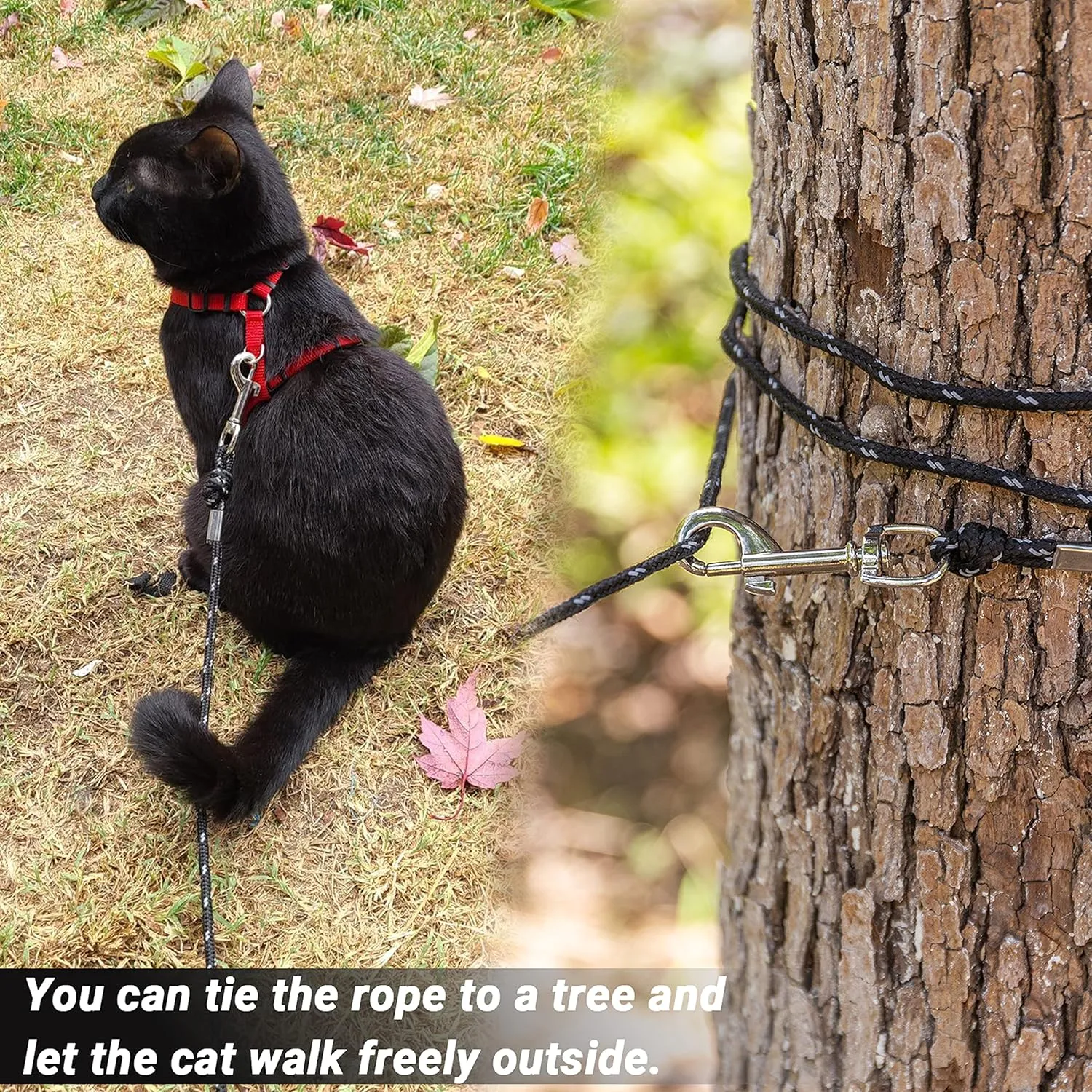 Cat Leash - 15 ft / 30 ft Reflective Long Cat Leash Outdoor for Walking Training Playing - Escape Proof Yard Lead Pet Leash Also for Cats, Small Dogs, Puppy, Kitten, Rabbit