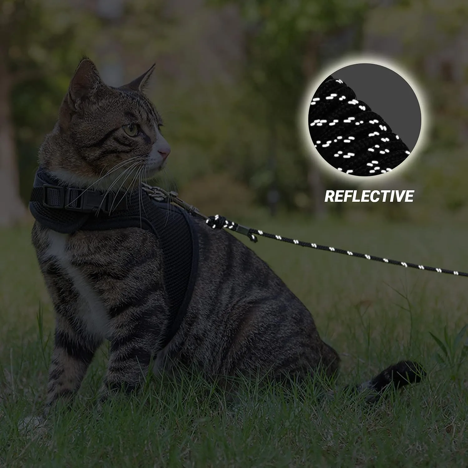 Cat Leash - 15 ft / 30 ft Reflective Long Cat Leash Outdoor for Walking Training Playing - Escape Proof Yard Lead Pet Leash Also for Cats, Small Dogs, Puppy, Kitten, Rabbit