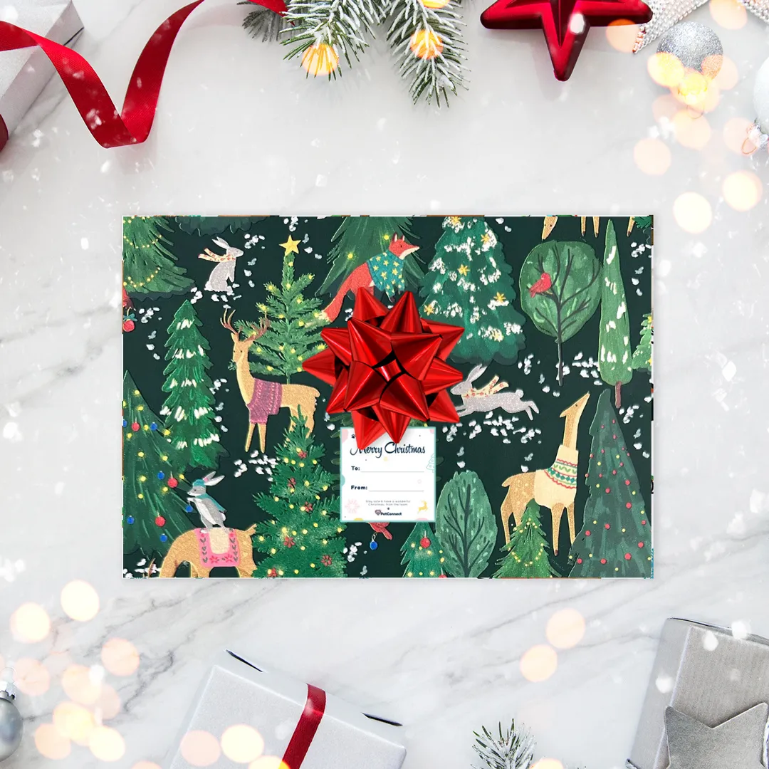 Christmas Cat Gift Box