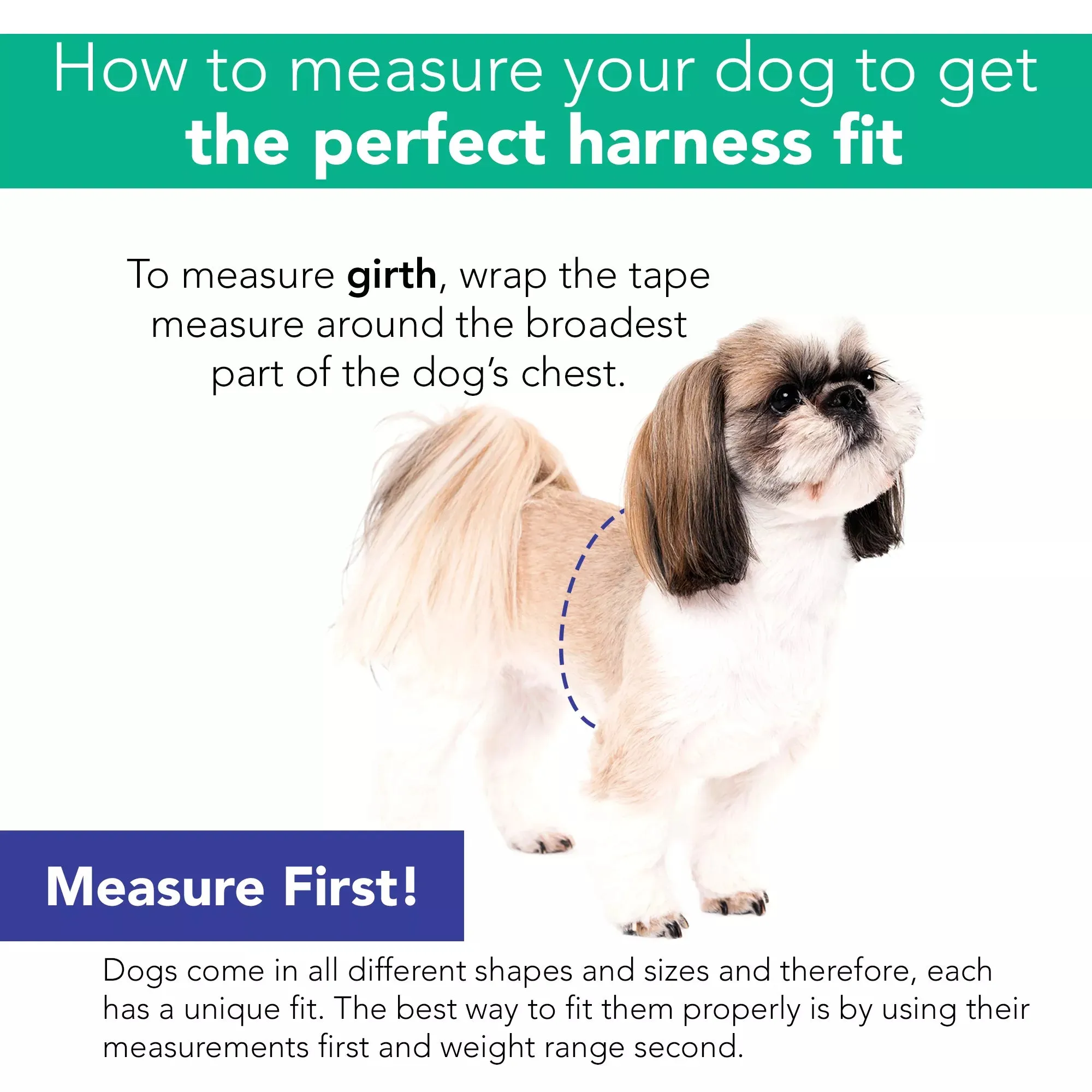 Coastal Pet Products Li'l Pals Comfort Mesh Dog Harness in Blue Lagoon