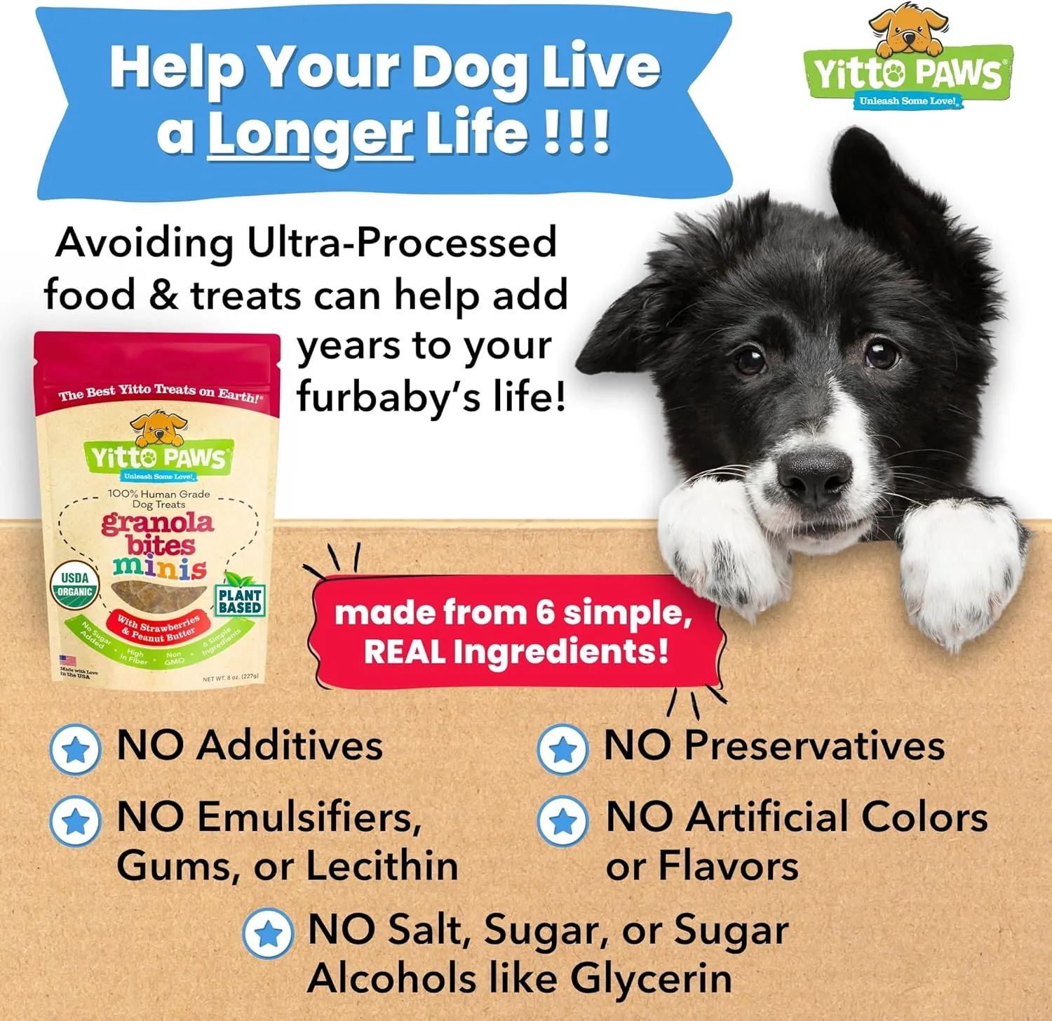 Crunchy Mini Organic Dog Training Treats - Oats, Strawberries & Peanut Butter  Healthy Puppy Treats, Vegan All Natural Made in USA Only  Low Calorie, Human-Grade No Sugar Added Puppy Biscuits
