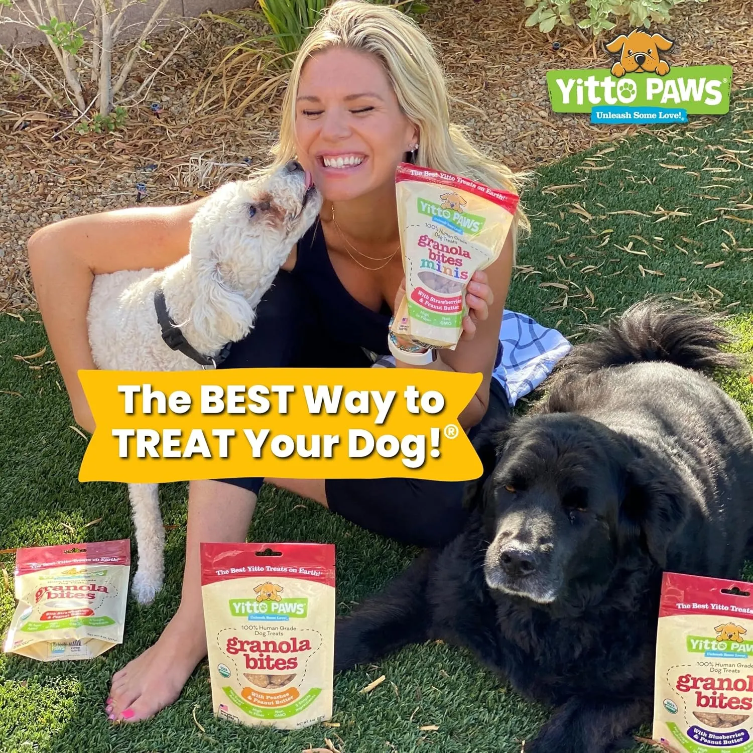 Crunchy Mini Organic Dog Training Treats - Oats, Strawberries & Peanut Butter  Healthy Puppy Treats, Vegan All Natural Made in USA Only  Low Calorie, Human-Grade No Sugar Added Puppy Biscuits
