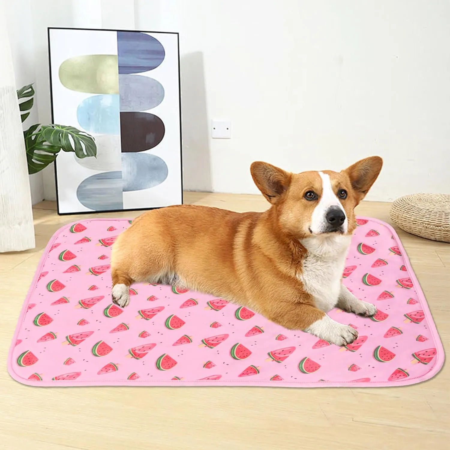 DELIFUR Cat Cooling Mat- Pet Cooling Mat Outdoor for Dogs Ice Pad for Kitten Cat Puppy Machine Washable (Small, Pink Watermelon)