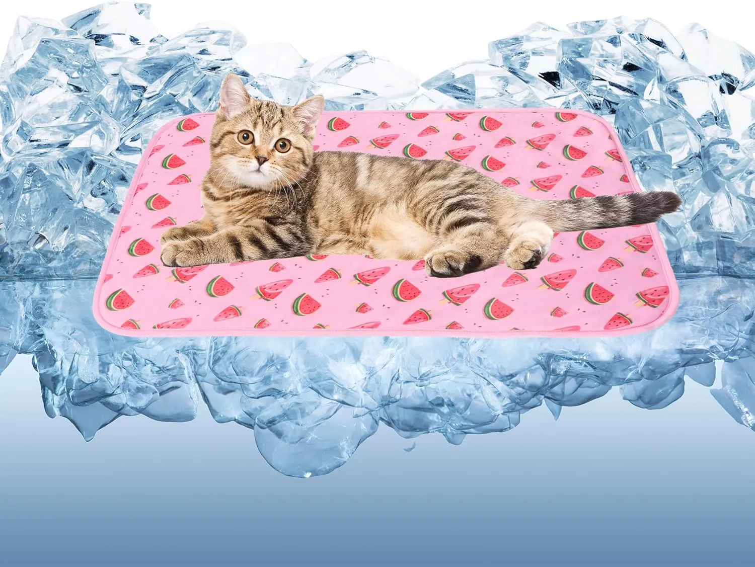 DELIFUR Cat Cooling Mat- Pet Cooling Mat Outdoor for Dogs Ice Pad for Kitten Cat Puppy Machine Washable (Small, Pink Watermelon)