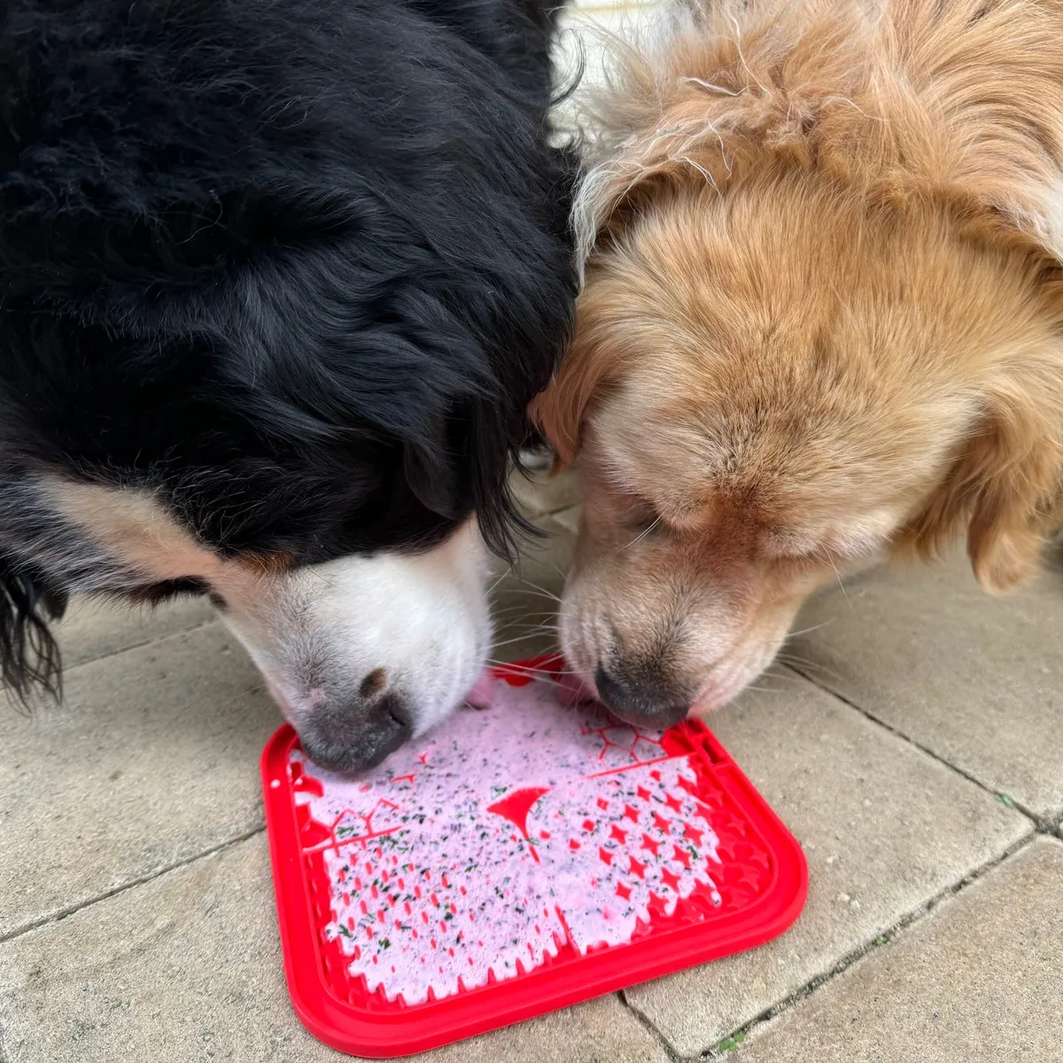 Dog Licking Mat