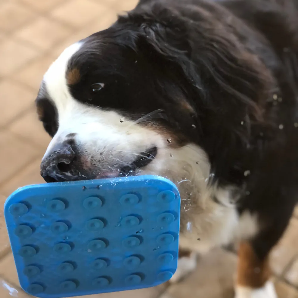Dog Licking Mat