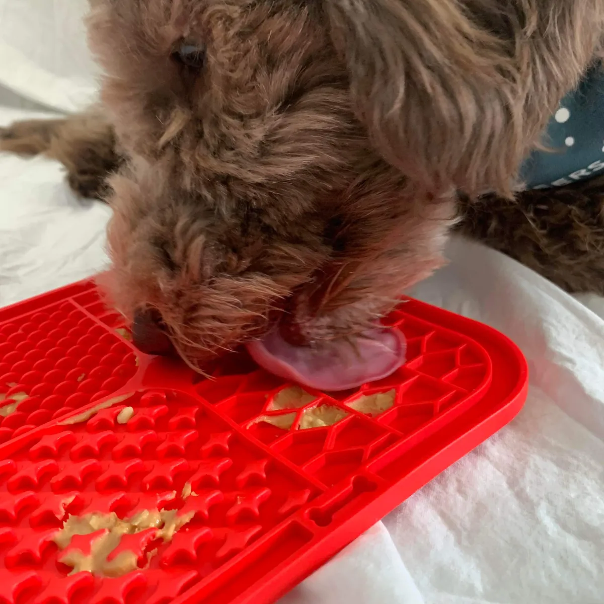 Dog Licking Mat
