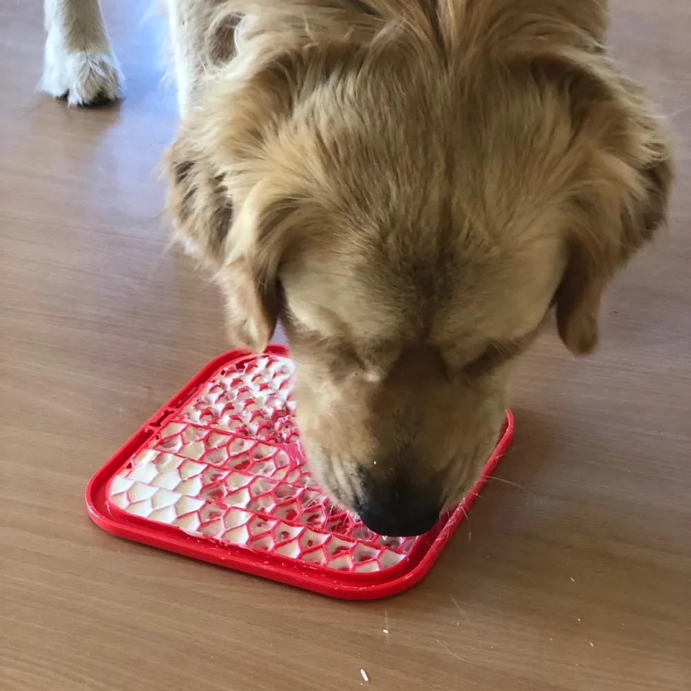 Dog Licking Mat