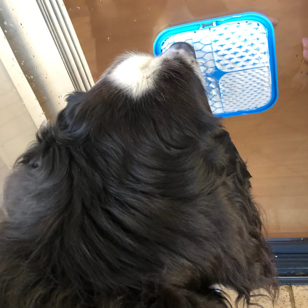 Dog Licking Mat