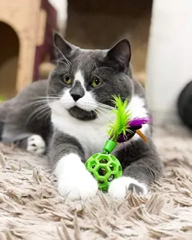Feather Ball with Bell