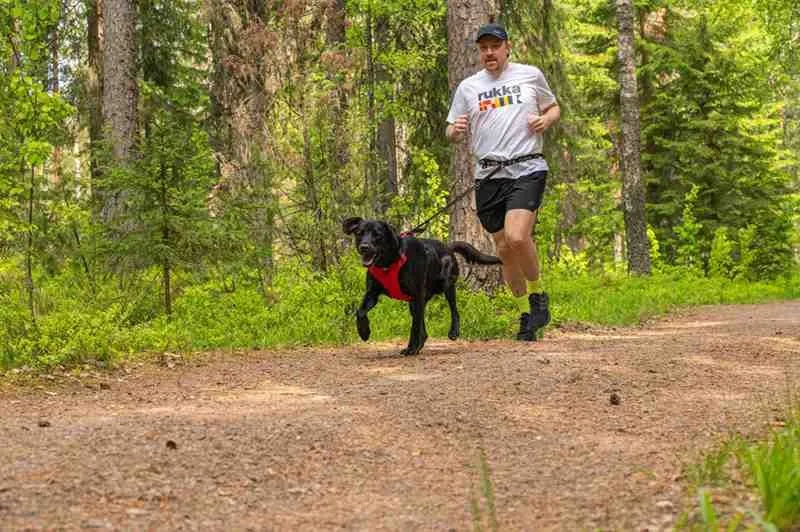 Hike