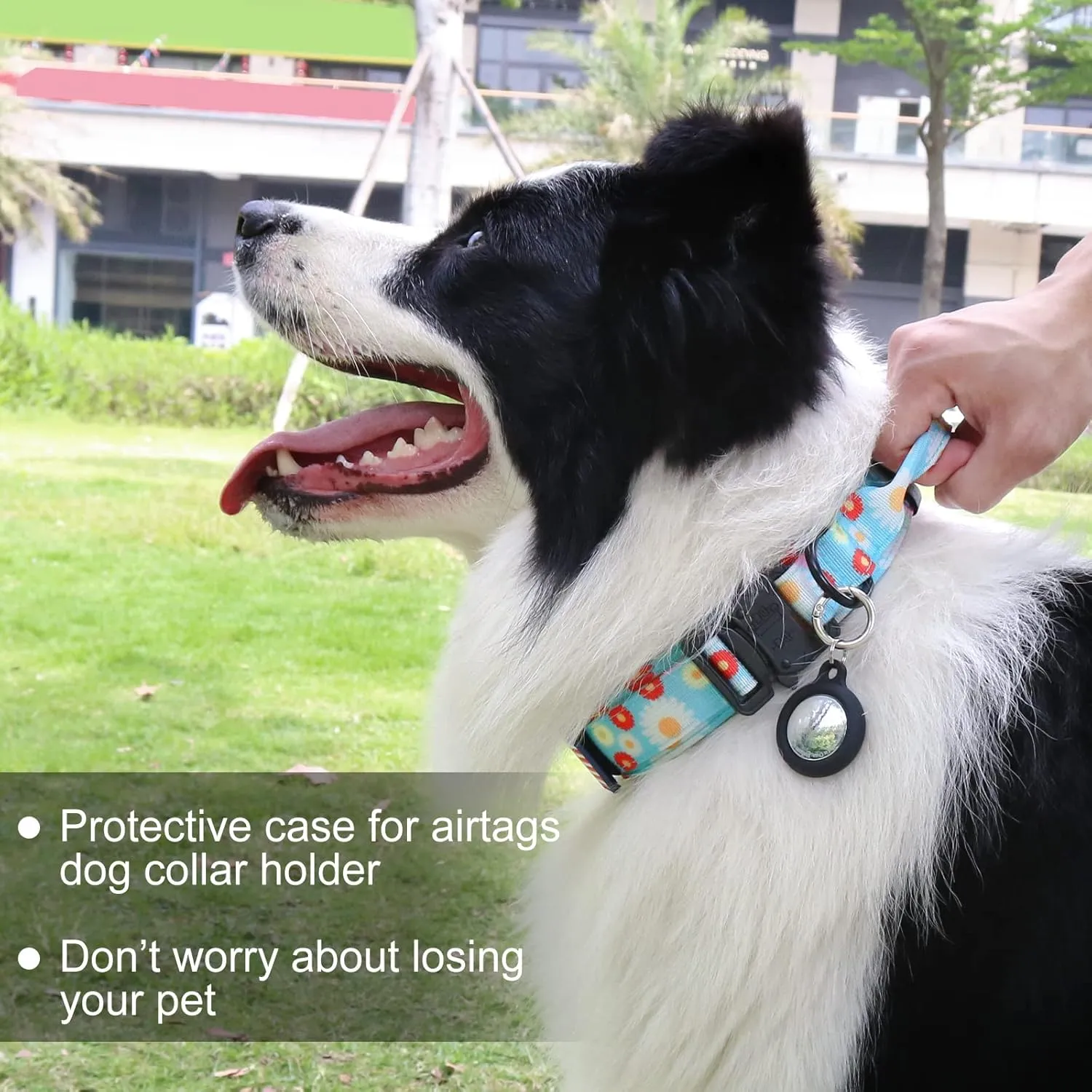 Hotsky Tactical Dog Collar and Leash Set, Heavy Duty Dog Collars for Medium Dogs, Adjustable Nylon Collars and Leashes with Handle Metal Buckle for Large Dogs, with Airtag Case and Patches(Daisy, XL)
