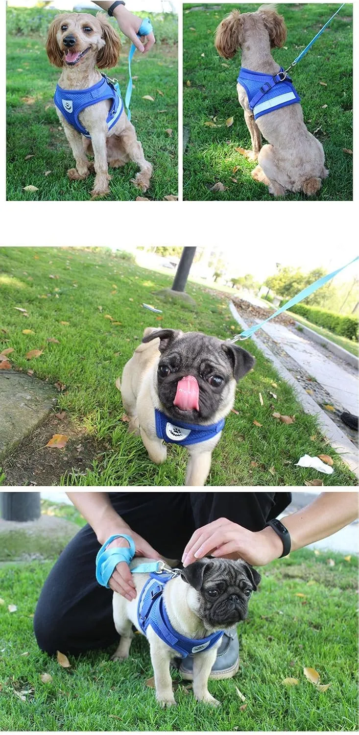Hypeety Soft Dog Cat Harness with Leash Adjustable Halter Harness No-Pull Breathable Mesh Safety Outdoor Reflective Walking Leash Set (Blue, S)