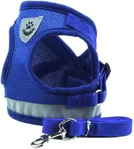 Hypeety Soft Dog Cat Harness with Leash Adjustable Halter Harness No-Pull Breathable Mesh Safety Outdoor Reflective Walking Leash Set (Blue, S)