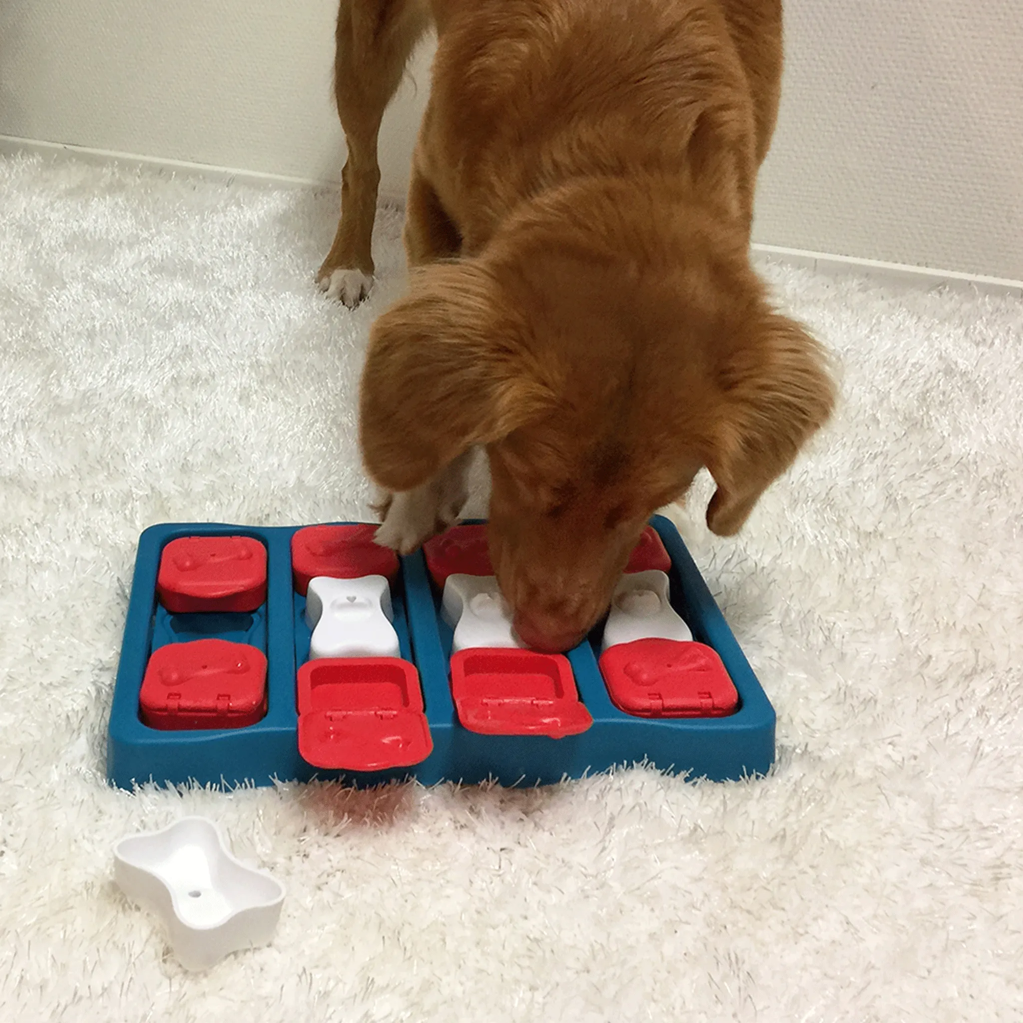 Nina Ottosson Dog Brick Blue Dog Toys