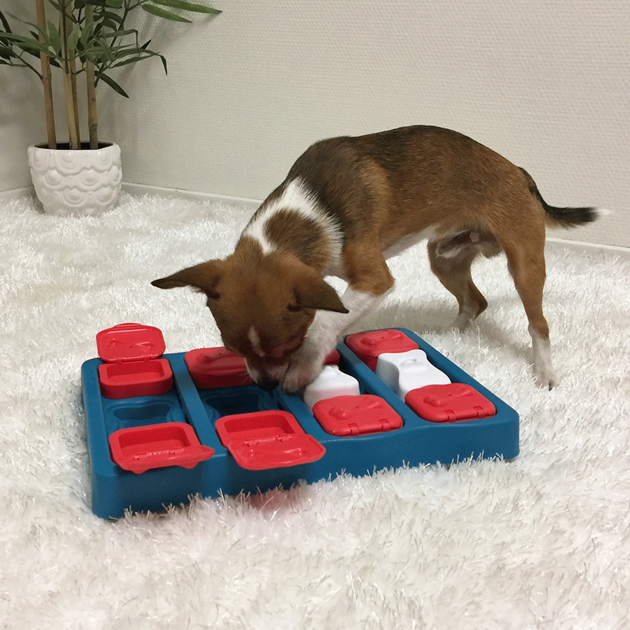 Nina Ottosson Dog Brick Blue Dog Toys