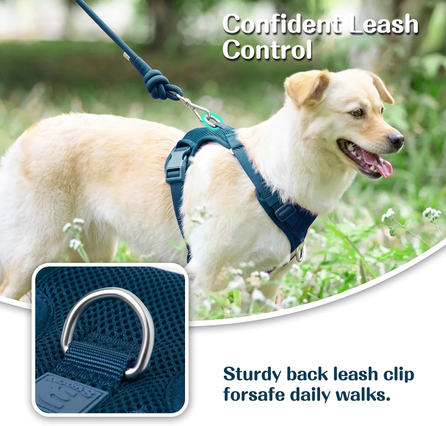 No Pull Dog Harness for Small Medium Large Dogs - Adjustable Two-Layer Mesh Dog Vest with Dual Clip, Escape Proof, Quick Release, Lightweight Breathable Mesh for Walking Hiking (Prussian Blue,M)
