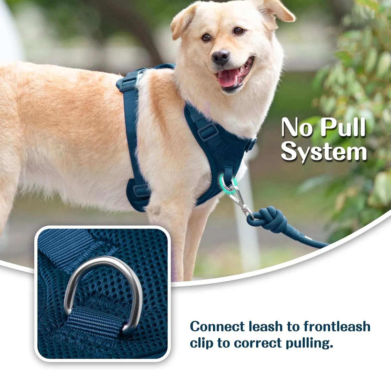 No Pull Dog Harness for Small Medium Large Dogs - Adjustable Two-Layer Mesh Dog Vest with Dual Clip, Escape Proof, Quick Release, Lightweight Breathable Mesh for Walking Hiking (Prussian Blue,M)