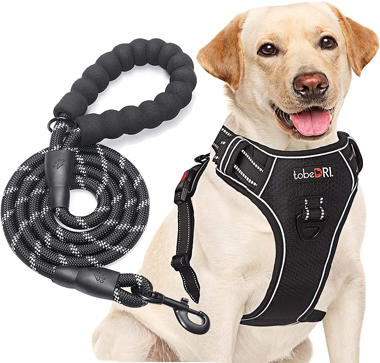 No Pull Harness with a Free Heavy Duty 5Ft Leash for Medium Large Dog Adjustable Reflective Oxford Easy Control (L (Neck: 18"-25.5", Chest: 24.5"-33"), Black Harness Leash)