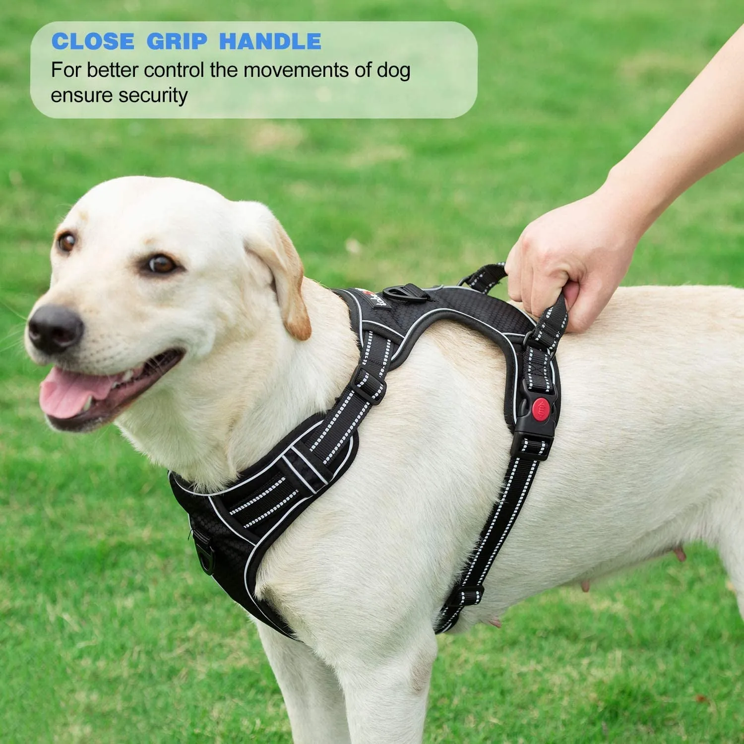 No Pull Harness with a Free Heavy Duty 5Ft Leash for Medium Large Dog Adjustable Reflective Oxford Easy Control (L (Neck: 18"-25.5", Chest: 24.5"-33"), Black Harness Leash)