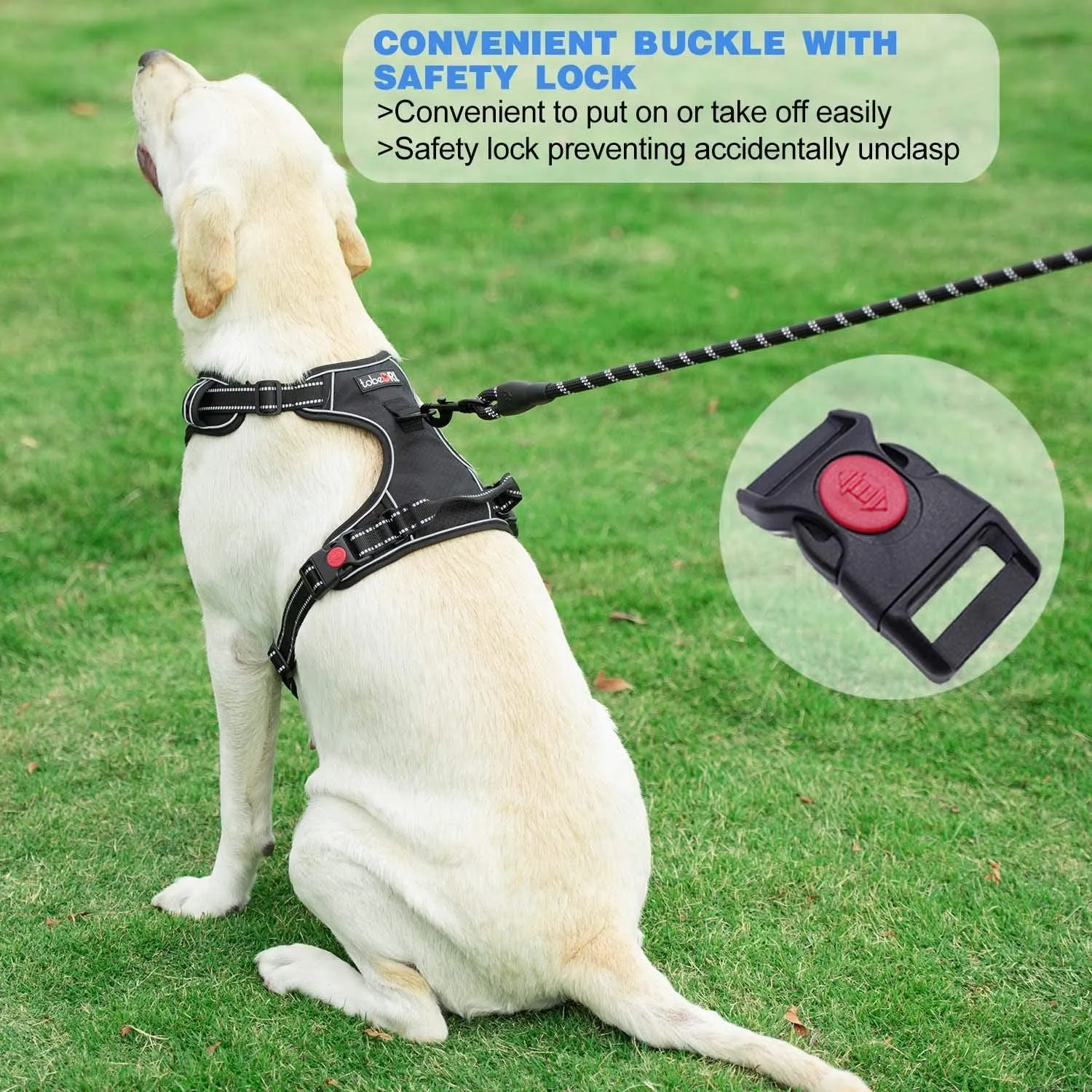 No Pull Harness with a Free Heavy Duty 5Ft Leash for Medium Large Dog Adjustable Reflective Oxford Easy Control (L (Neck: 18"-25.5", Chest: 24.5"-33"), Black Harness Leash)