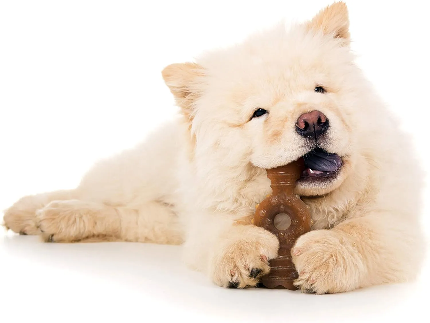 Nylabone Ring Bone Chew Toy for Puppies, Puppy Teething Toys, Chicken Flavor, Medium - Up to 35 Ibs, 1 Count