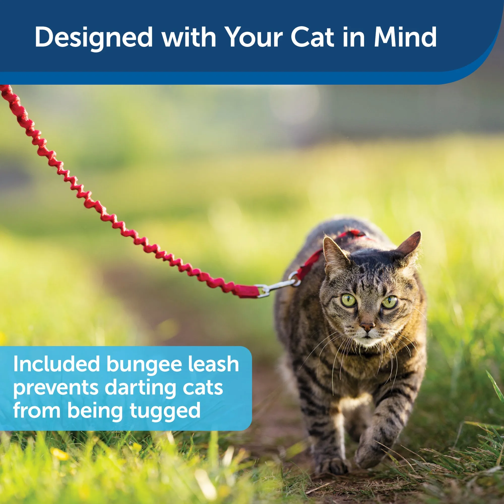 PetSafe Come with Me Kitty Harness and Bungee Leash – Adjustable, Lightweight Harness for Cats, Red
