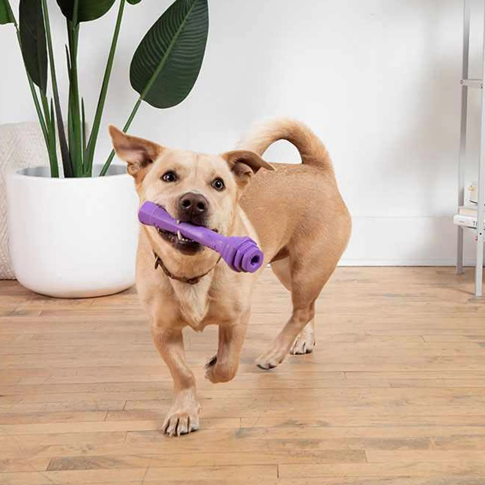 Project Hive Scented Fetch Stick Lavender Dog Toys