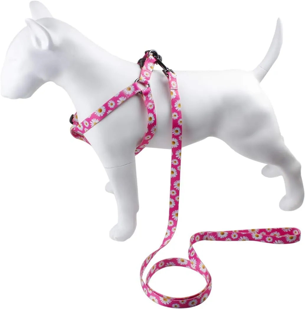 QQPETS Dog Harness Leash Set Adjustable Heavy Duty No Pull Halter Harnesses for Small Medium Large Breed Dogs Back Clip Anti-Twist Perfect for Walking (XS(12"-18" Chest Girth), Daisy)