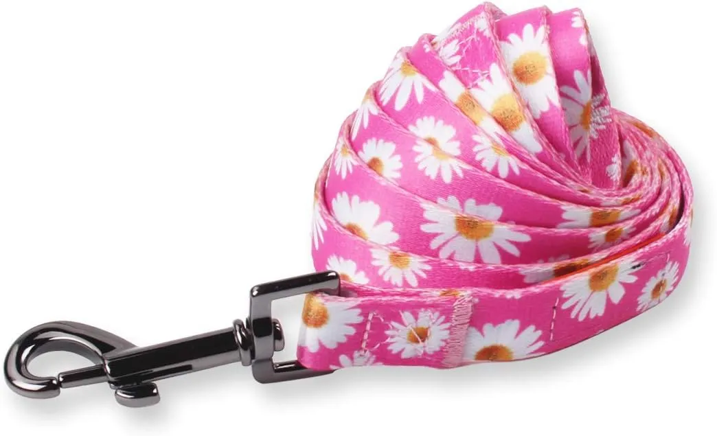 QQPETS Dog Harness Leash Set Adjustable Heavy Duty No Pull Halter Harnesses for Small Medium Large Breed Dogs Back Clip Anti-Twist Perfect for Walking (XS(12"-18" Chest Girth), Daisy)