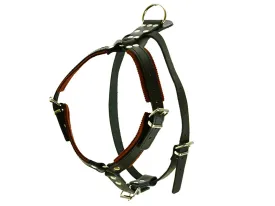Raddog Leather Harness