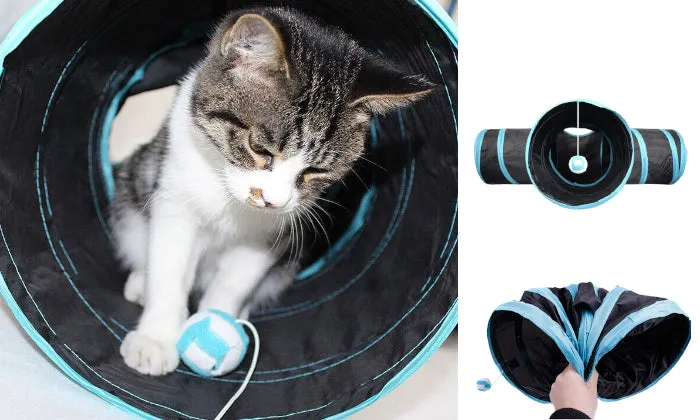Rex - Cat Tunnel