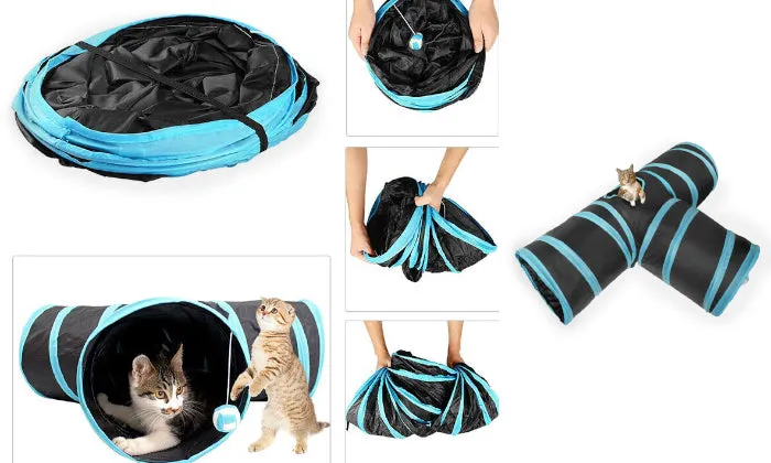 Rex - Cat Tunnel