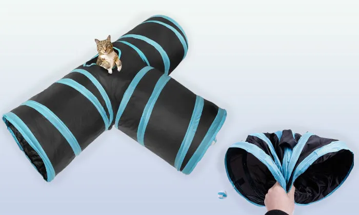 Rex - Cat Tunnel
