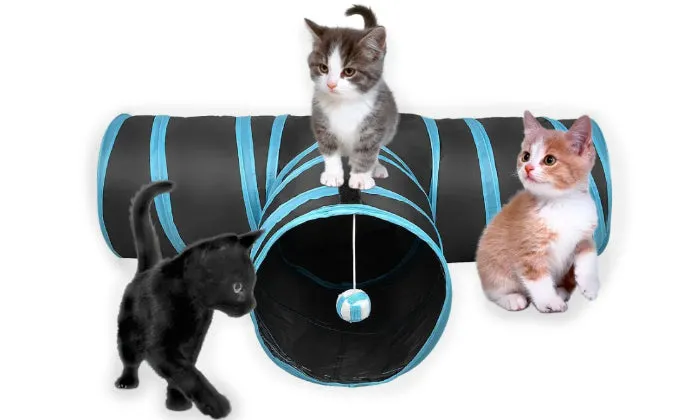 Rex - Cat Tunnel